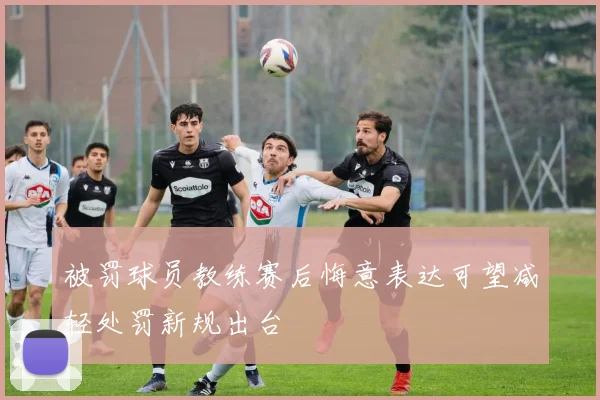 被罚球员教练赛后悔意表达可望减轻处罚新规出台