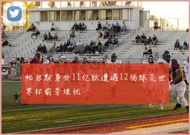 帕尔默身价11亿欧遭遇12场球荒世界杯前景堪忧